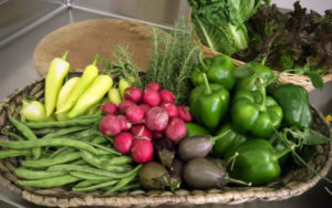Plough Towers veggies