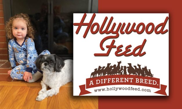 Hollywood Pet Stars: Emmy Lou and Nora, Best Buds