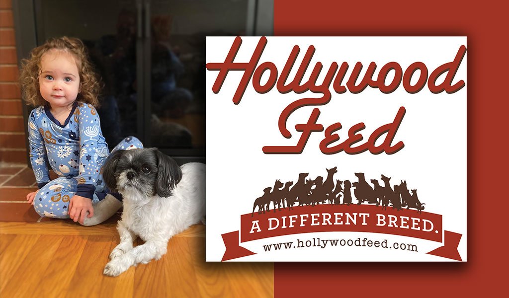 Hollywood Pet Stars: Emmy Lou and Nora, Best Buds