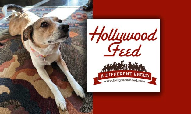 Hey Sugar, Who Rescued Who?
