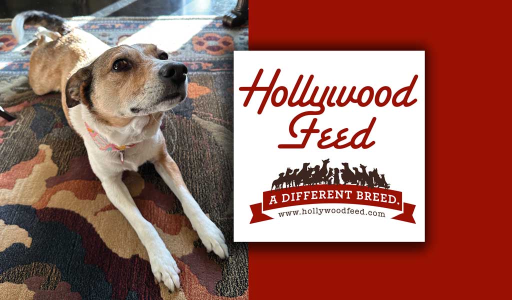 Hey Sugar, Who Rescued Who?