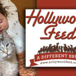 Hollywood Pet Star: Ash Schudel