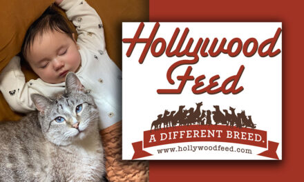 Hollywood Pet Star: Ash Schudel