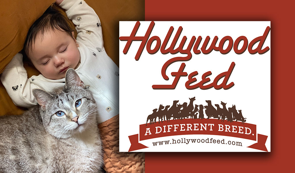 Hollywood Pet Star: Ash Schudel